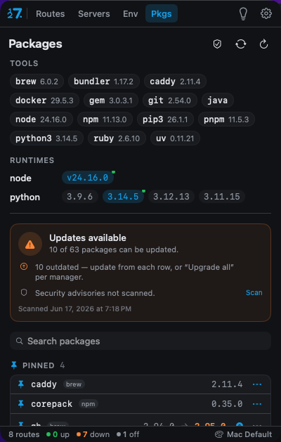 Packages screen: global packages across npm, Homebrew, and uv with updates